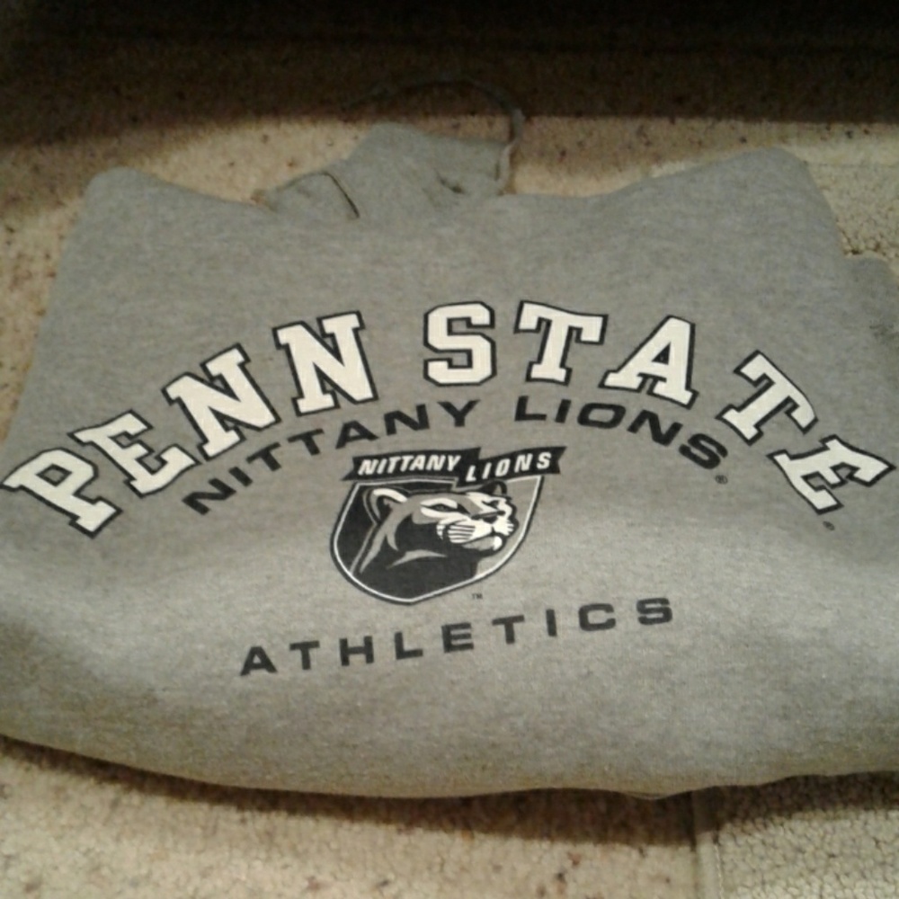Penn State Gray hoodie - Picture 6 of 8